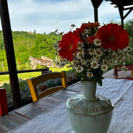 Il Cantuccio Delle Crete アッシャーノ
